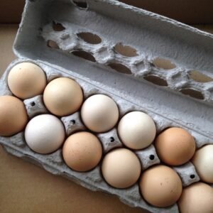 Farm Fresh Pasture Raised Eggs - 1 Dozen