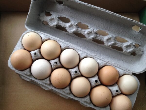 Farm Fresh Pasture Raised Eggs - 1 Dozen